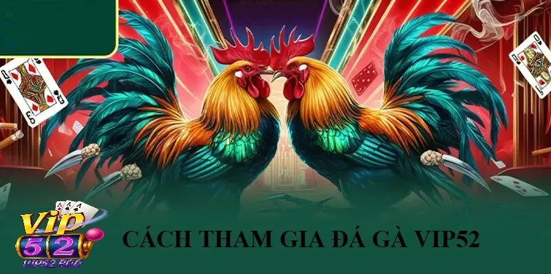Cách Tham Gia Đá Gà Vip52 Nhanh Chóng Và Đơn Giản